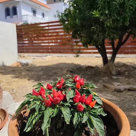 Garden N2 Апартаменты Архангелос